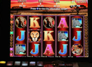 im电竞APP下载客户端