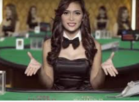 im电竞APP下载2024最新版